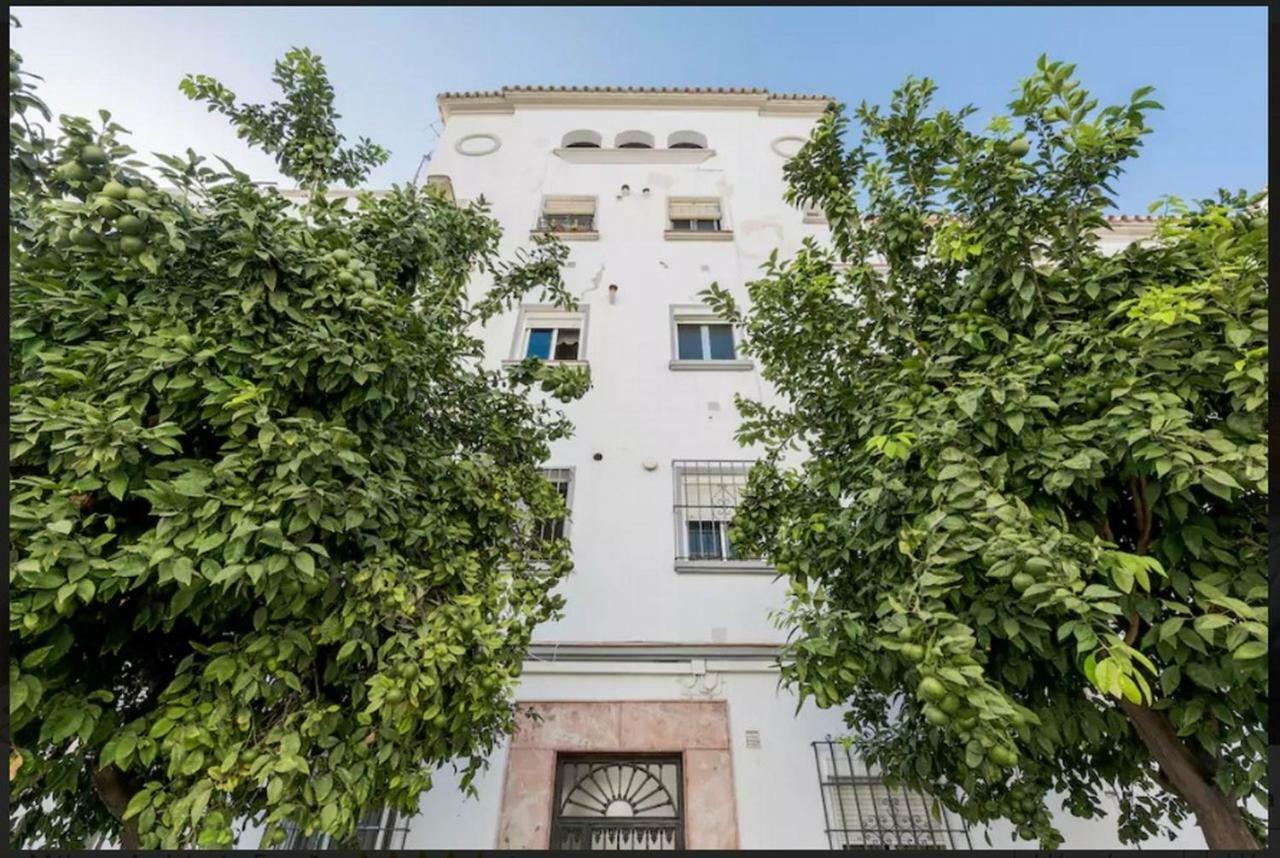 Apartamento Milagros Málaga Exterior foto